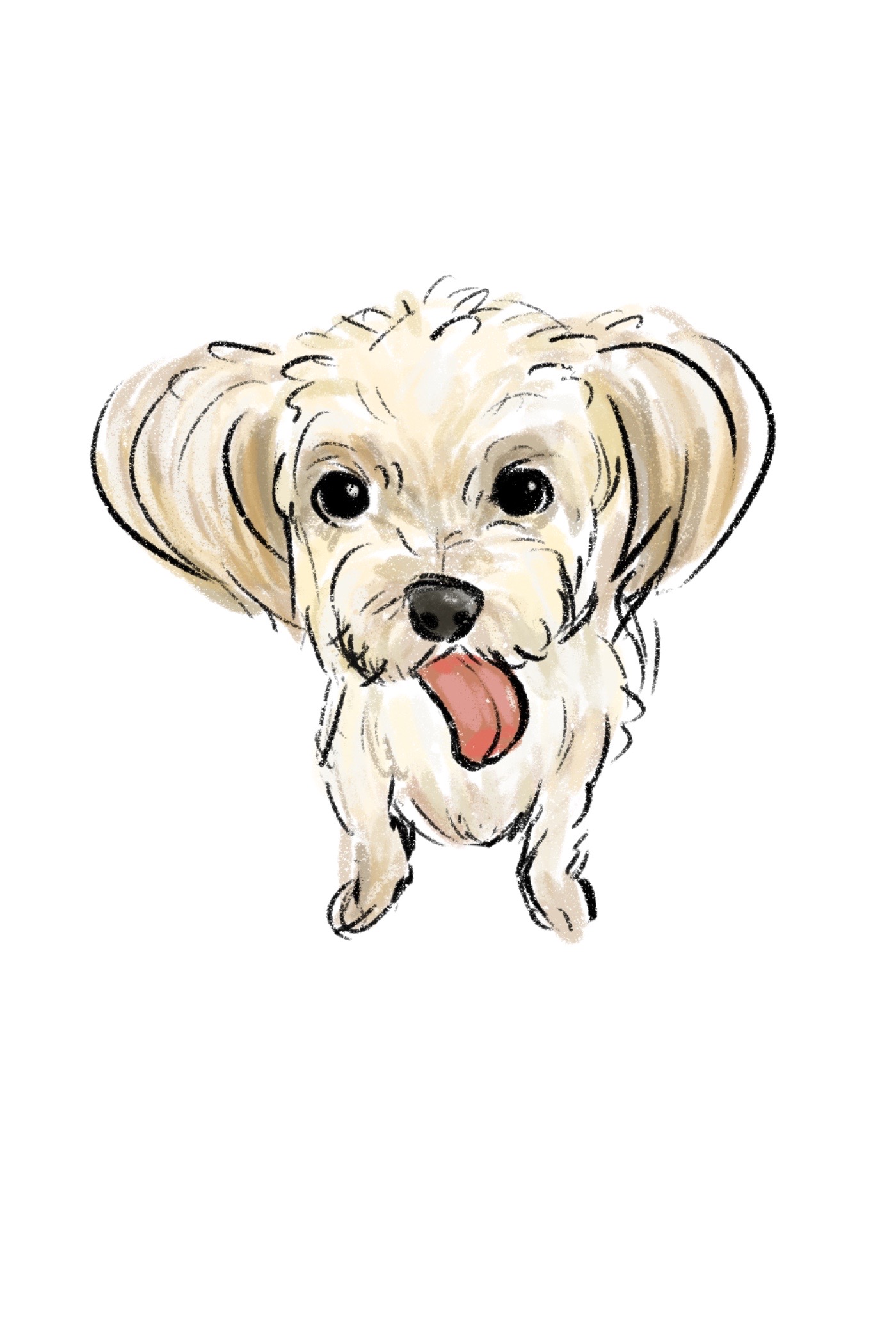 Original digital sketch of a fluffy cream dog with its tongue out