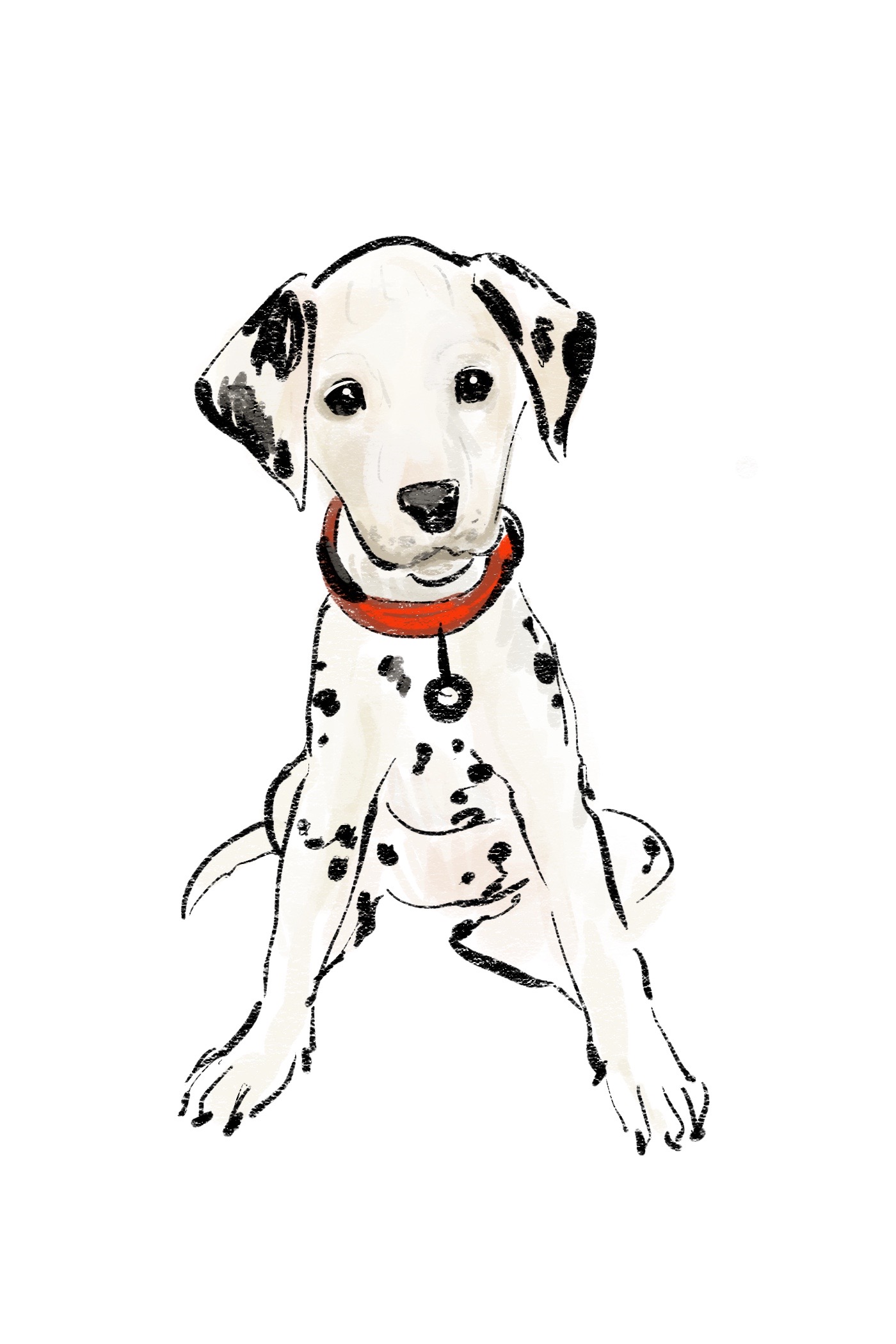 Original digital sketch of a spotted Dalmatian with a red collar